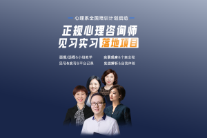 正规心理咨询师 见习实习落地项目